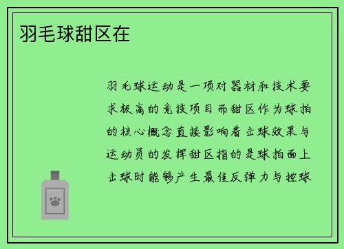 羽毛球甜区在